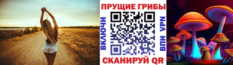 Псилоцибиновые грибы GOLDEN TEACHER  где можно купить наркотик  Окуловка 